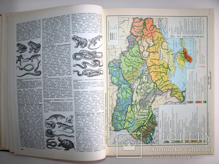 1987  Украинская Советская Социалистическая Республика. Энциклопедический справочник., фото №7