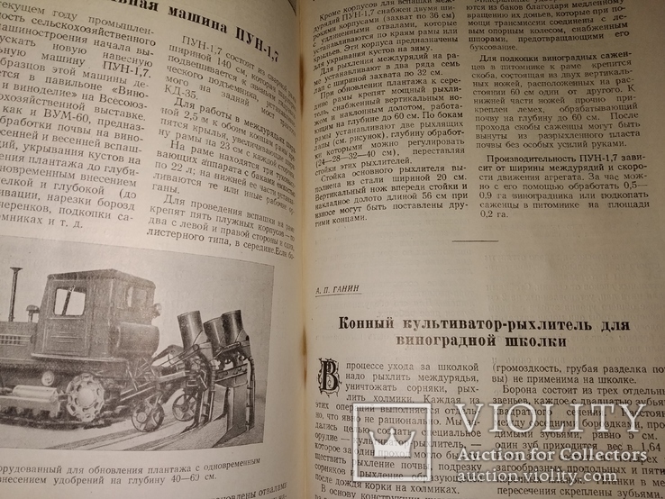 1955 Виноделие и Виноградарство СССР вино коньяк шампанское виноград, фото №8