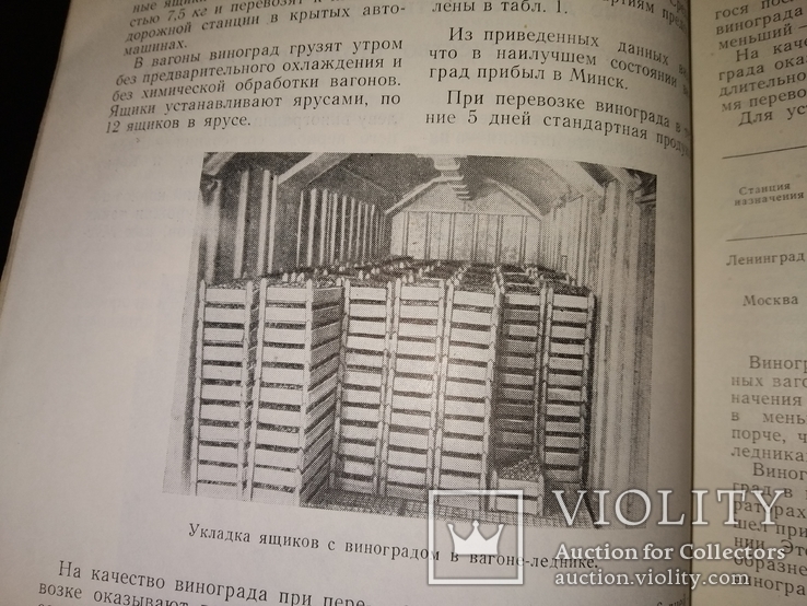 1962 Виноделие и Виноградарство. Коньяк Вино шампанское виноград, фото №4