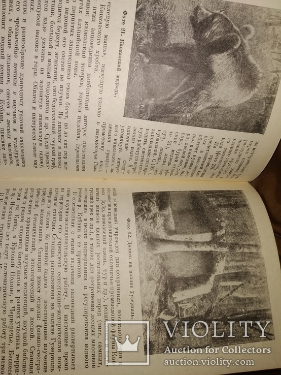 1940 Заповедники СССР . Много фото, фото №4