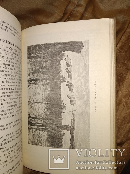 1940 Заповедники СССР . Много фото, фото №10