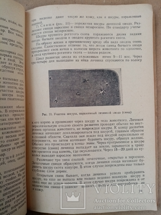 Шкуропосолочное производство 1948 г. тираж 5 тыс., фото №4