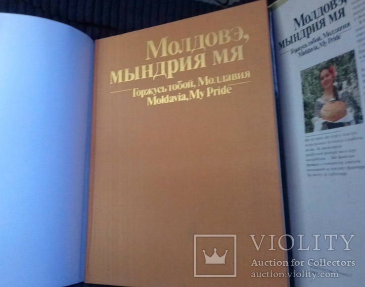 Гордость Малдова 1983 ссср .спец заказ, фото №2