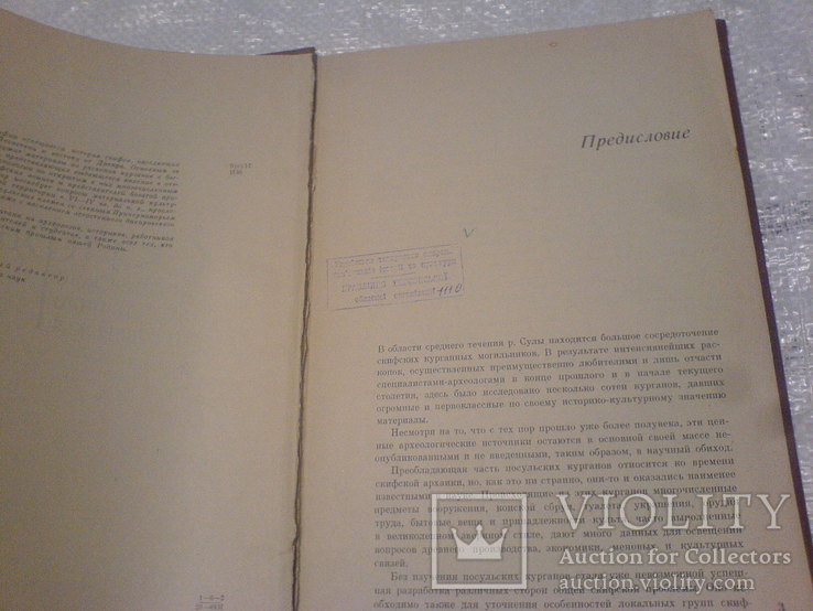 Скифы Днепровского лесостепного левобережья-1968г, фото №12