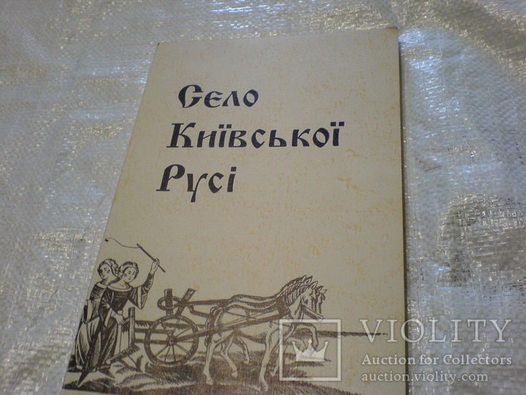 Село Київської Русі, фото №2