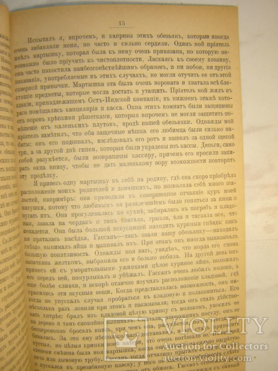 Мартышки. 1897г, фото №4