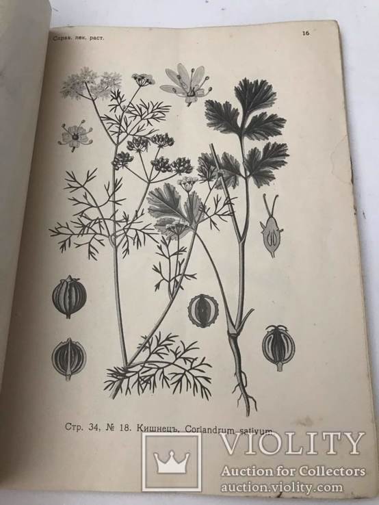 1915 Лекарственные растения. Сбор. Сушка и Разведение. Справочник., фото №5