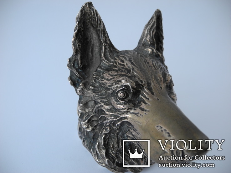 Серебряная фигура Голова волка или собаки ( серебро 800 пр. вес 552 гр ), фото №8