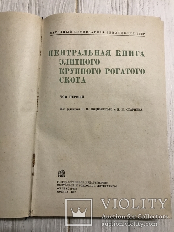 1937 Элитный крупный рогатый скот, фото №5