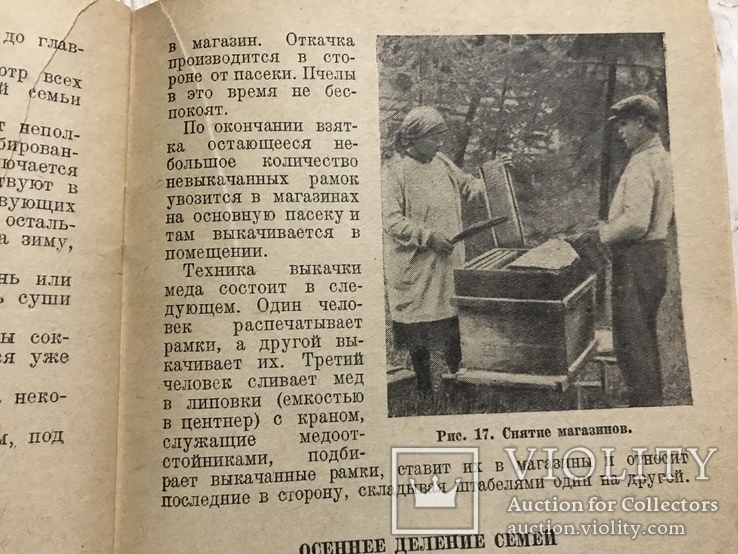 1938 Пчеловодство: За 100 кг мёда и размножение пчелиных семей, фото №2