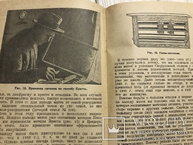 1938 Пчеловодство: За 100 кг мёда и размножение пчелиных семей, фото №9