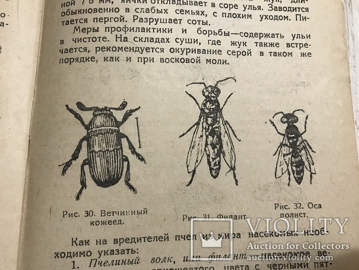 1934 Болезни пчёл, фото №2