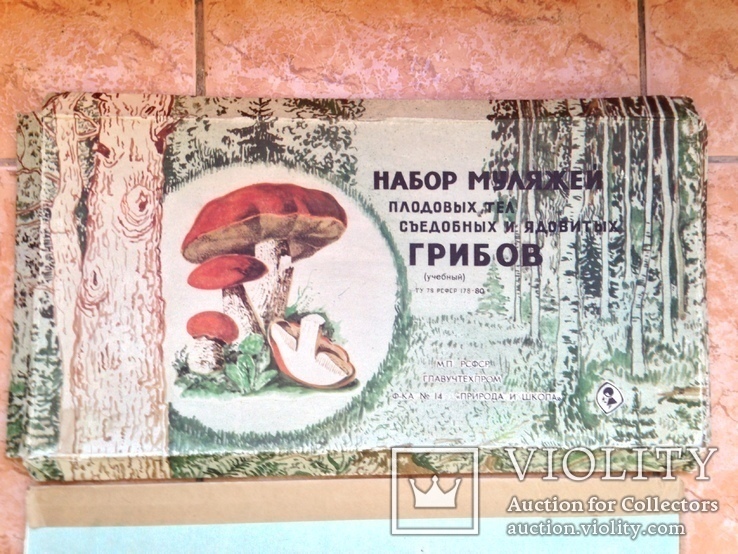 3 коллекции учебные  Шерсть Хлопок Грибы Ф-ка №14 Природа и школа Москва 1981, фото №6
