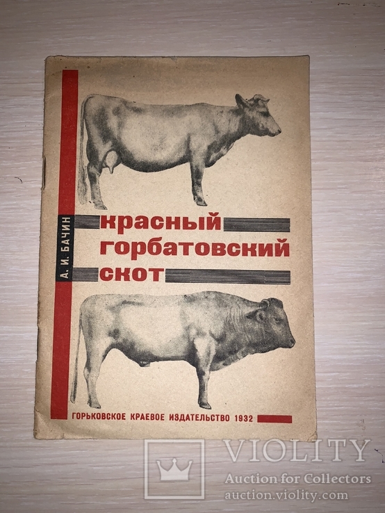 1932 Красный горбатовский скот