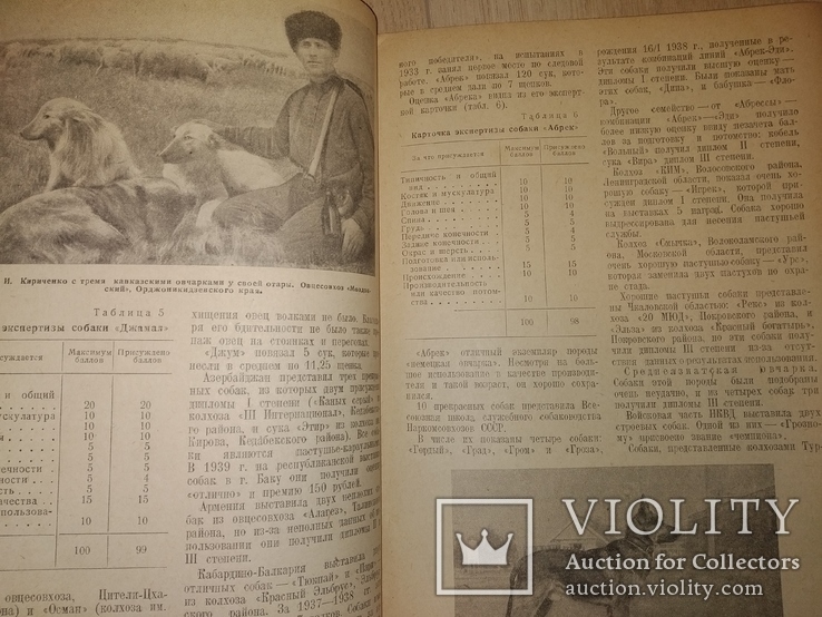 1940 журнал Социалистическое животноводство., фото №13