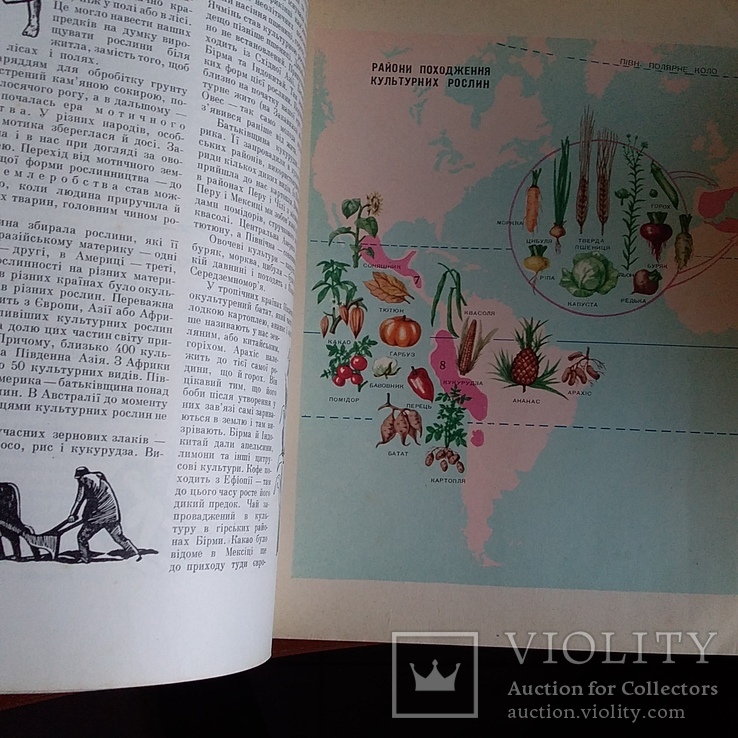 Дитяча енциклопедія "Рослини і тварини" том 4 1962р., фото №8