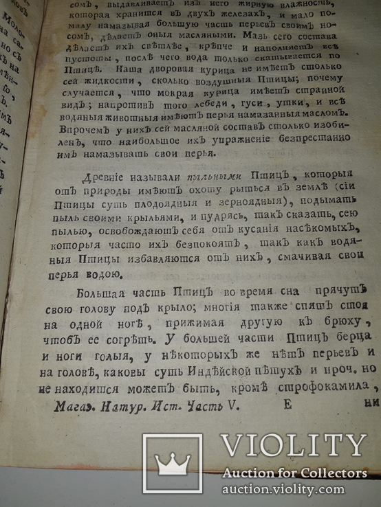 1789 Магазин натуральной истории, фото №7