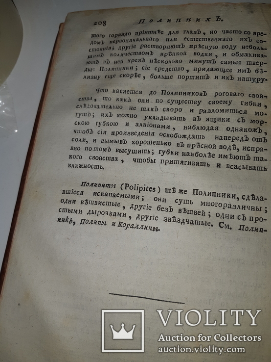 1789 Магазин натуральной истории, фото №11