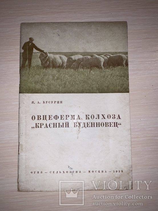 1938 Овцеводство, фото №13