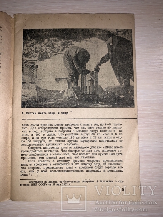 1932 Забота о кроликах, фото №3