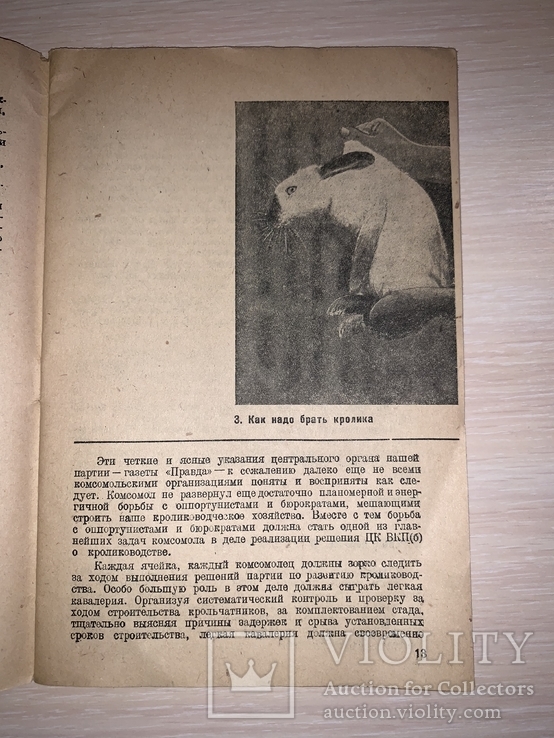 1932 Забота о кроликах, фото №4