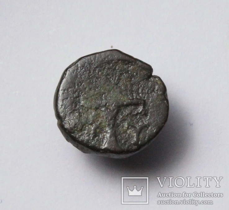 Еоліда, м.Кіми (Кіма), 350-250 до н.е. – орел / скіфос (2), фото №5