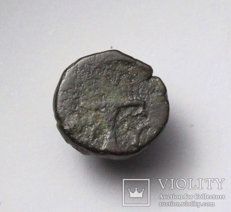 Еоліда, м.Кіми (Кіма), 350-250 до н.е. – орел / скіфос (2), фото №6