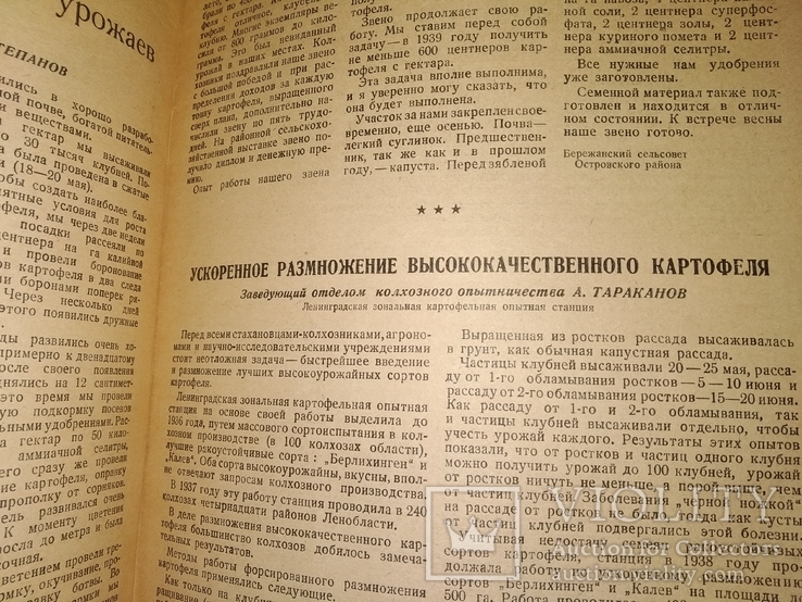 1939 Красная деревня . 18 съезд ВКП Сталин Политбюро ЦК, фото №10