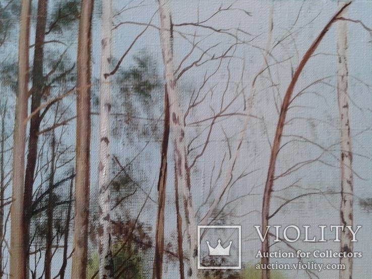 Алек Гросс. В весеннем лесу, х., м., 50х70 см, фото №6