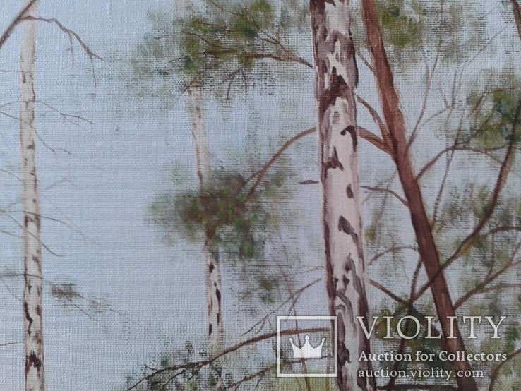 Алек Гросс. В весеннем лесу, х., м., 50х70 см, фото №8