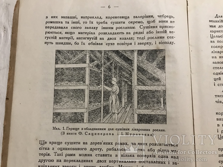 1935 Дикорослі лікарські рослини флори УСРР, фото №7