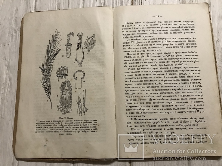 1935 Дикорослі лікарські рослини флори УСРР, фото №8