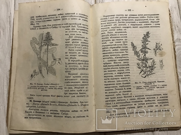 1935 Дикорослі лікарські рослини флори УСРР, фото №11