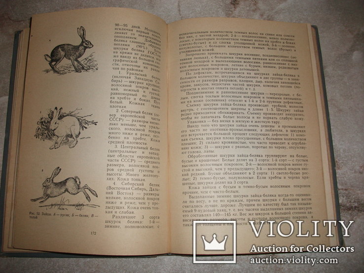 Пушно-меховое сырье. З.Я.Лебенгарц 1969г. Тираж 3000-экз., фото №5