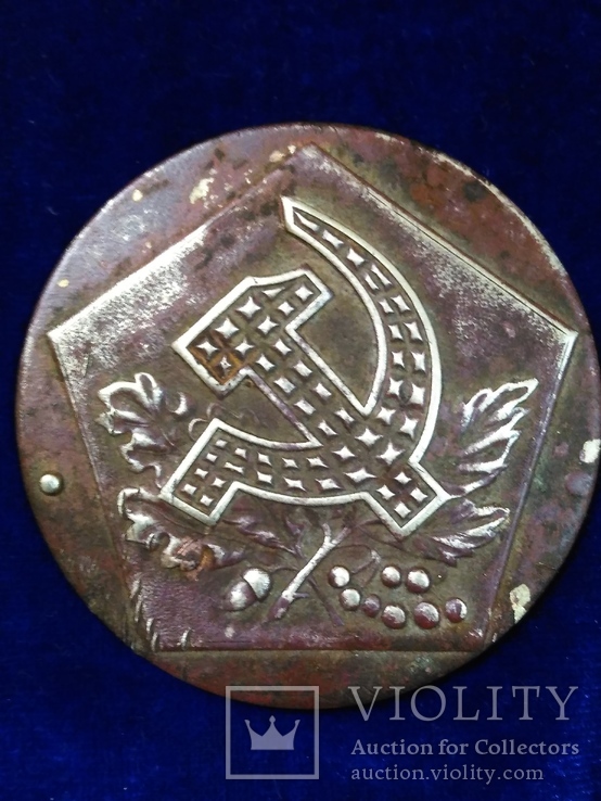 Медальон Серп и молот на листьях в пятиугольнике, фото №2