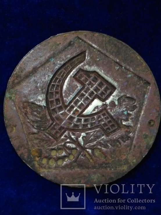 Медальон Серп и молот на листьях в пятиугольнике, фото №3