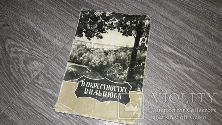 В окресностях Вильнюса В. Уждавинис 1958, фото №2