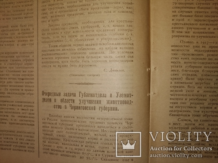 1919 Чернигов Вестник Губернского земельного отдела, фото №8