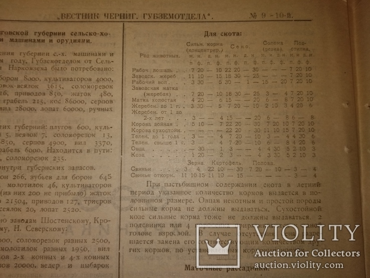 1919 Чернигов Вестник Губернского земельного отдела, фото №10