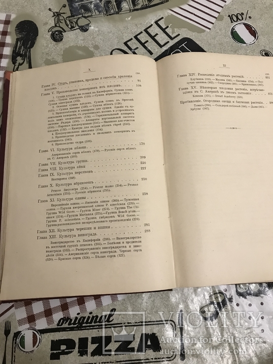 Промышленное плодоводство 1898 год, фото №11