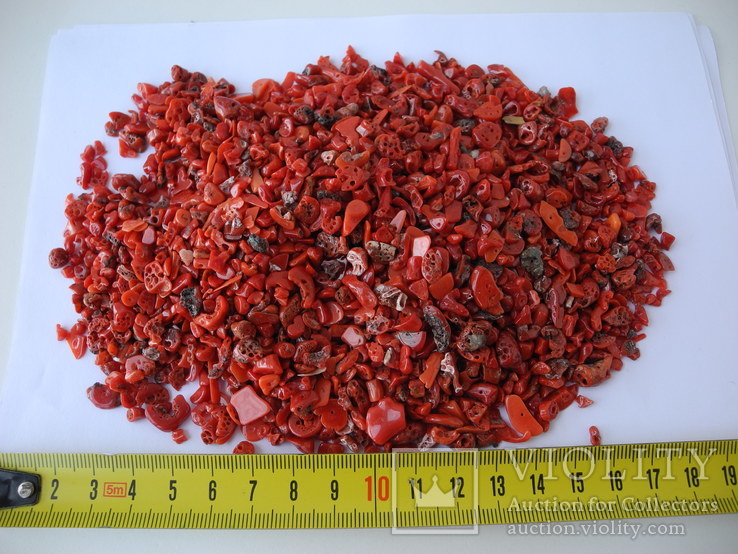 Коралл красный ( 200 грам ), фото №9
