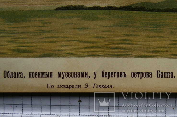 Облака, носимые муссонами. у берегов о. Банка. До 1917 г., фото №5