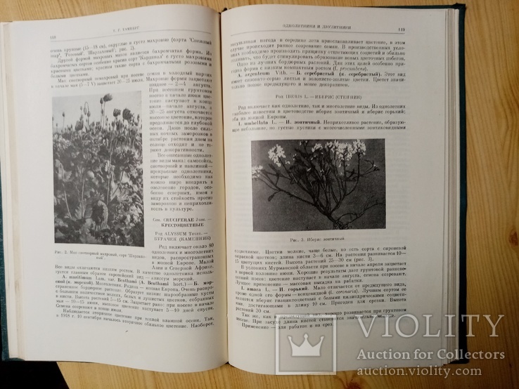 Декоративные растения для крайнего Севера СССР 1958 г. тираж 1700 экз, фото №5