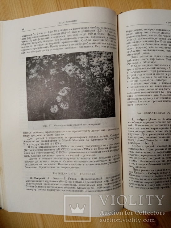 Декоративные растения для крайнего Севера СССР 1958 г. тираж 1700 экз, фото №6