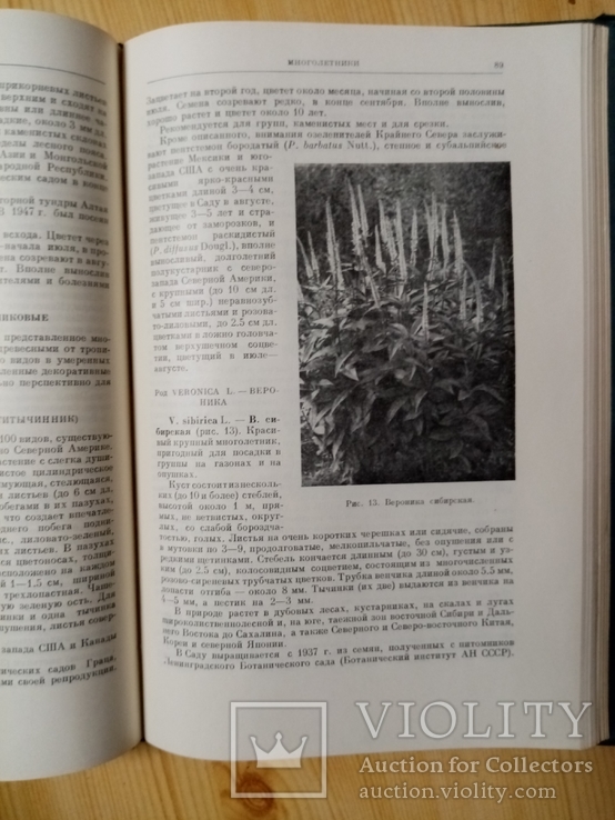 Декоративные растения для крайнего Севера СССР 1958 г. тираж 1700 экз, фото №7