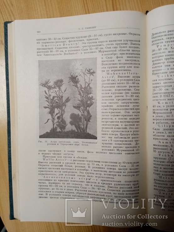 Декоративные растения для крайнего Севера СССР 1958 г. тираж 1700 экз, фото №10