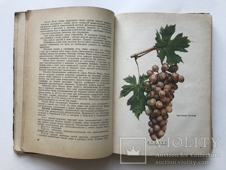 Настольная Книга Виноградоря., фото №6