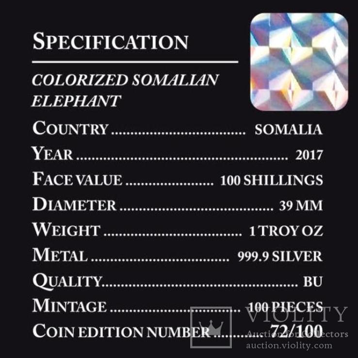 Сомали "Слон" 100 шиллингов. Серебро 999.9 пробы. Тираж 100 экз., фото №5