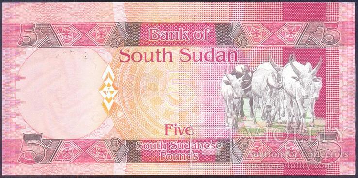 Южный Судан - 5 фунтов 2011 - P6 - UNC, Пресс, фото №4