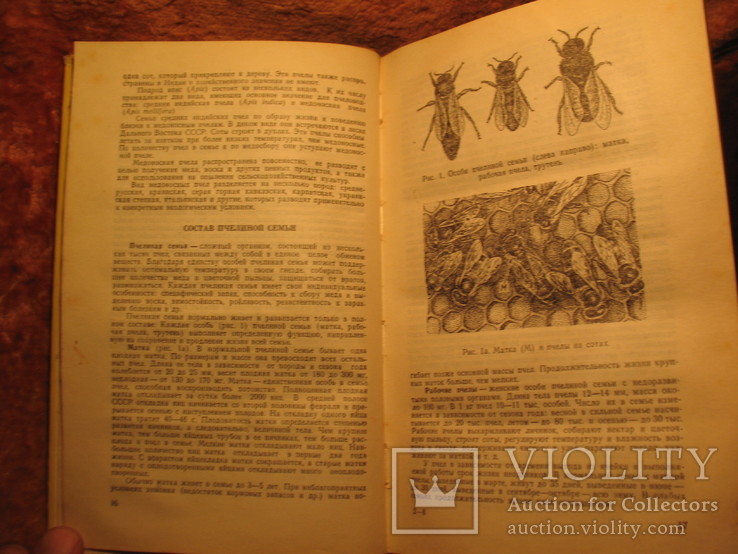 Справочник по пчеловодству 1977г, фото №8